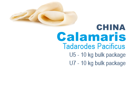 Calamaris