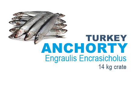 Anchorty
