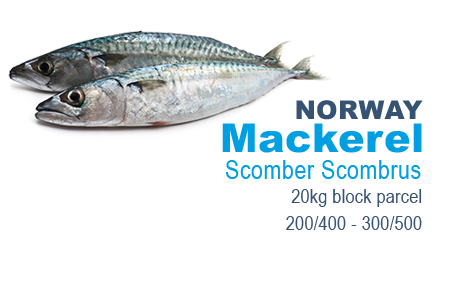 Mackarel
